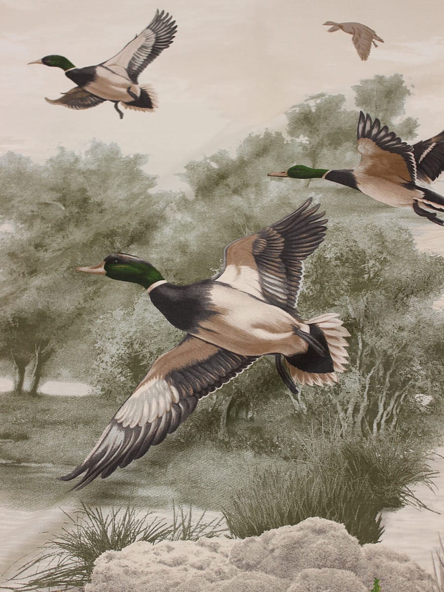 Мерный лоскут (ткань в отрезах) - Бязь "Утиная охота", ш.2.2м, хлопок-100%, 140гр/м.кв