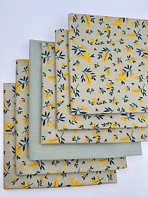 Набор лоскута №632