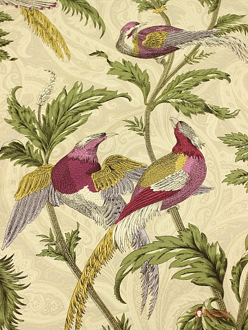 Интерьерный хлопок "Эдем" цв.светло-пшеничный, СОРТ2, ш.1.5м,  хлопок-100%, 250гр/м.кв