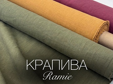 Крапива Рами