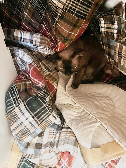 Пэчворк-покрывало из фуле и полульна