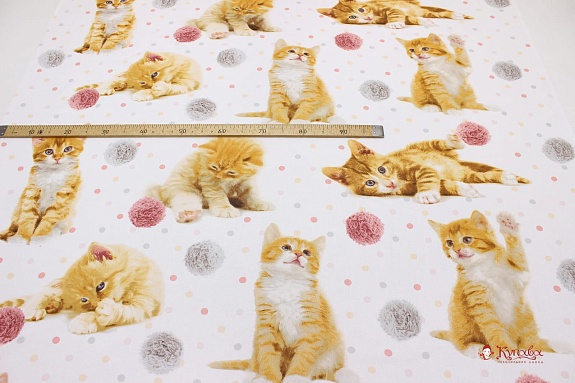 Перкаль "Котенок Рыжик", ш.1.5м, хлопок-100%, 110гр/м.кв
