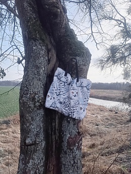 Сумка из саржи "Полярные совы"