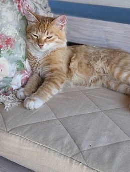 Подушка на дачную скамью по МК с Нелли Беленкиной*