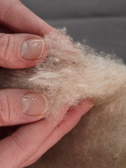 Шерстяное термополотно, ш.2.2м, овечья шерсть-60%, полиэфир-40%, 200гр/м.кв