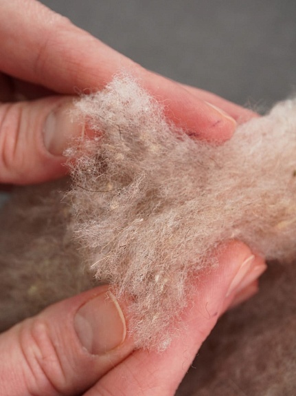 Термополотно с верблюжьей шерстью, ш.1.5м, натур.волокно-35%, полиэфир-65%, 300гр/м.кв