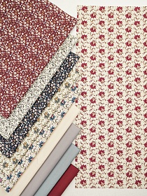 Набор тканей для рукоделия "Импортный хлопок: Андромеда", 45см*30см, 10шт